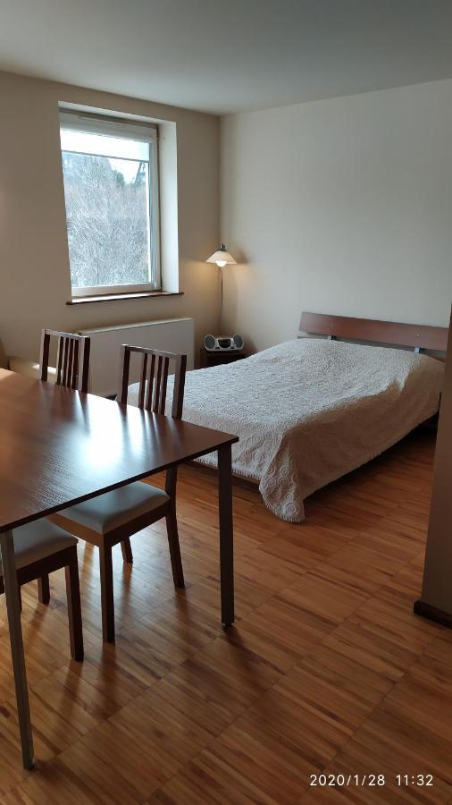 Zawoja1560 Apartamenty Przy Aptece Exterior foto